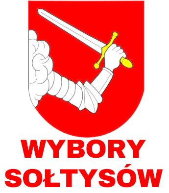 2024 08 wybory soltysow